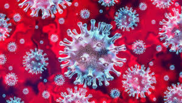 Solicitor's vital guide for employers planning to deal with Coronavirus in the UK