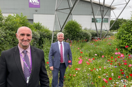 Attracting wildlife pollinators to Kingswood offices