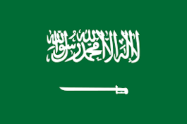 Saudi Arabia Business Visa Requirements