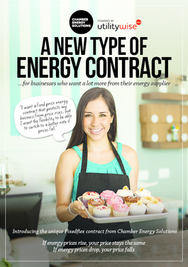 A New Type of Energy Contract
