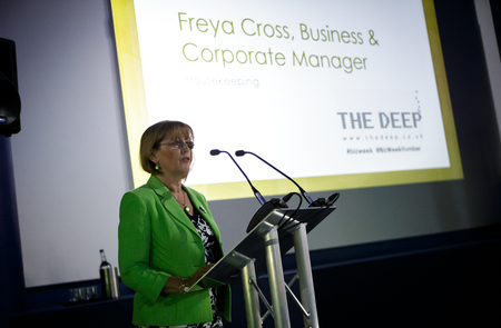 Balancing act for Deep Business Centre as report highlights growth