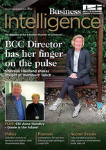 Show biz intel nov dec 2022 cover