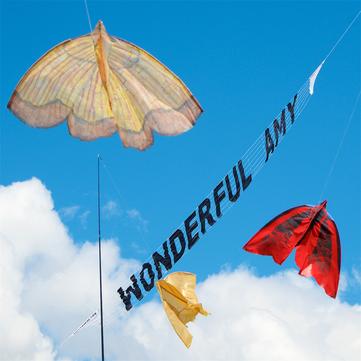 Amy kite festival